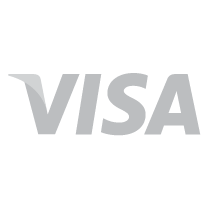 Payment methods_Visa